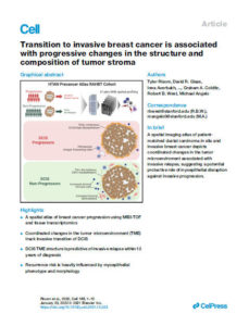 breast cancer thesis 2022